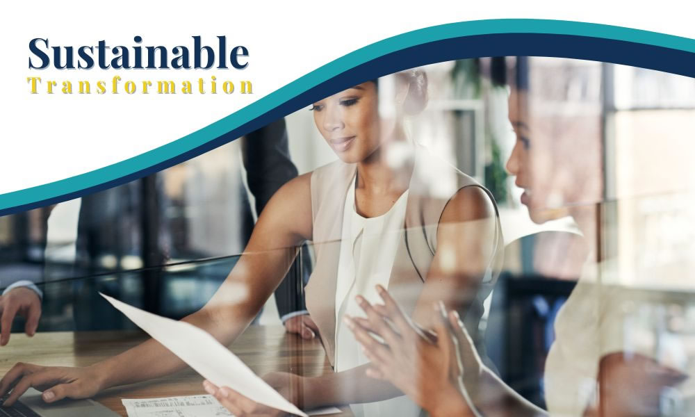 Focusing Holistically on B-BBEE: A Call to Action for Sustainable Transformation