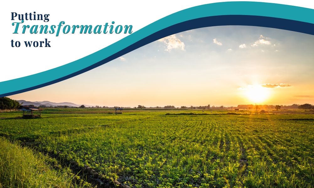 Putting Transformation to Work